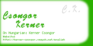 csongor kerner business card